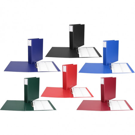 Segregator do akt osobowych Biurfol A4/5.5cm 2R ni