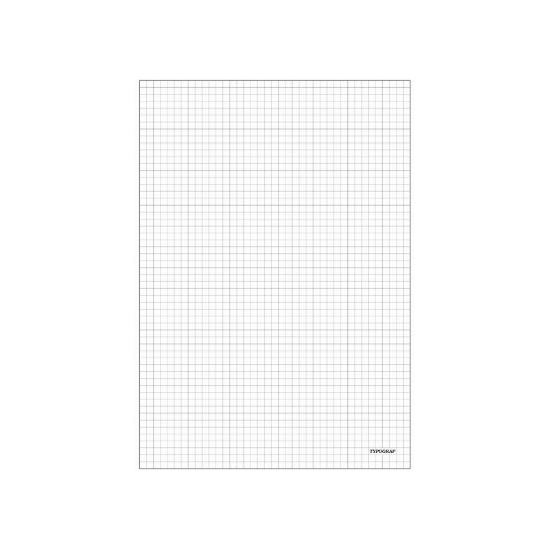 BLOK BIUROWY TYPOGRAF A5/80K KRATKA (5)