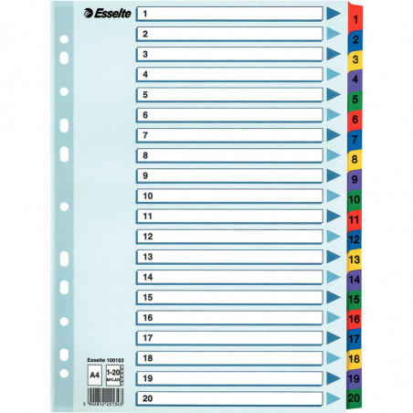 PRZEKŁADKI MYLAR ESSELTE A4 1-20