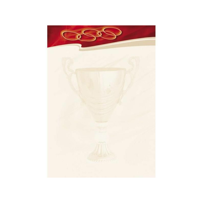 DYPLOM GALERIA PAPIERU A4 SPORT (25)
