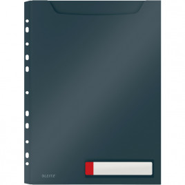 Koszulki PP Leitz Cosy A4/200µm 150k szare (3)