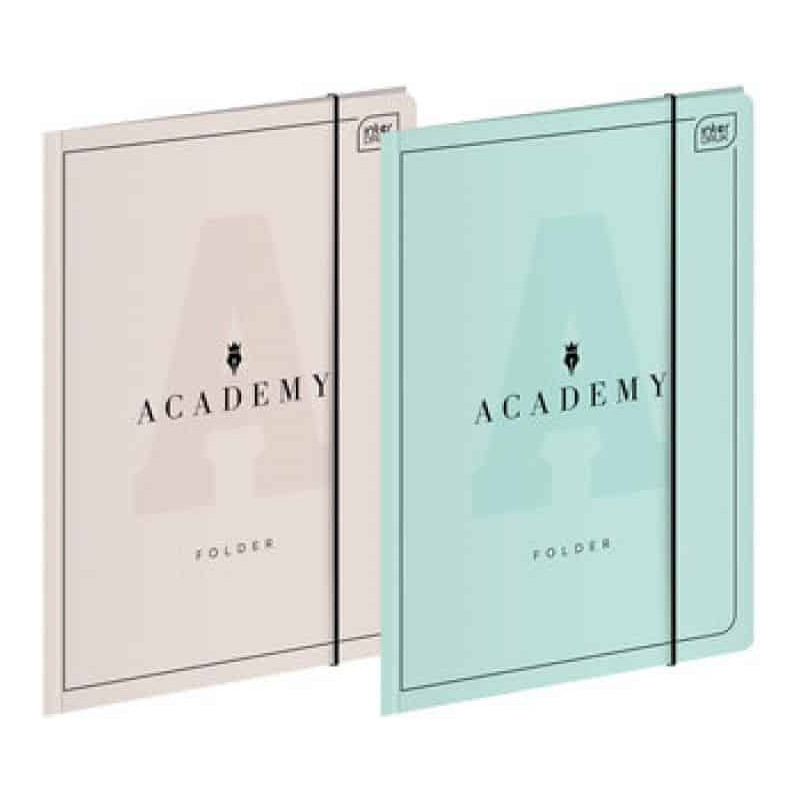 Teczka kartonowa z gumką Interdruk Academy Pastel A4+