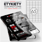 Etykiety Emerson A4 38x21.2mm białe (100)