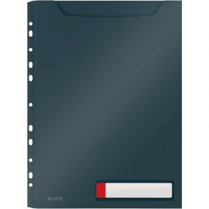 Koszulki PP Leitz Cosy A4/200µm 150k szare (3)